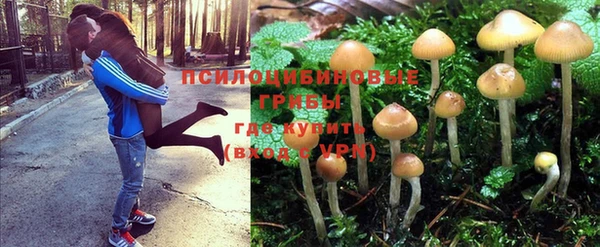марки lsd Дмитровск